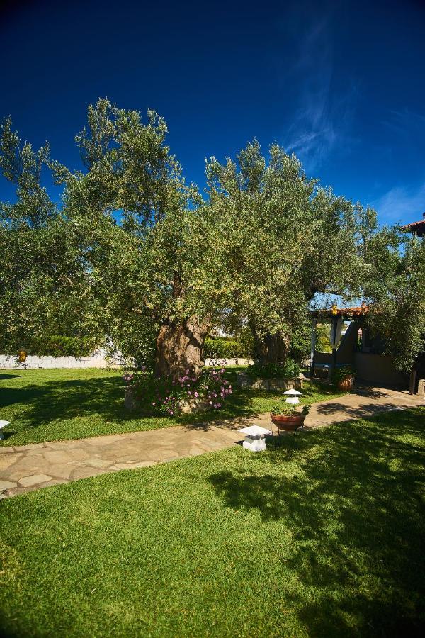 Villa The Cosy Olive Ormos Panagias Exteriör bild