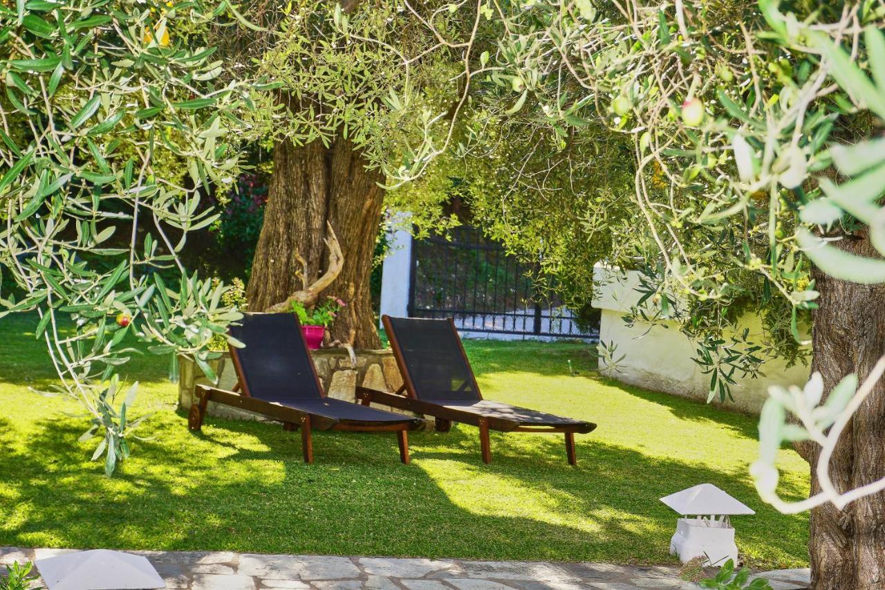Villa The Cosy Olive Ormos Panagias Exteriör bild